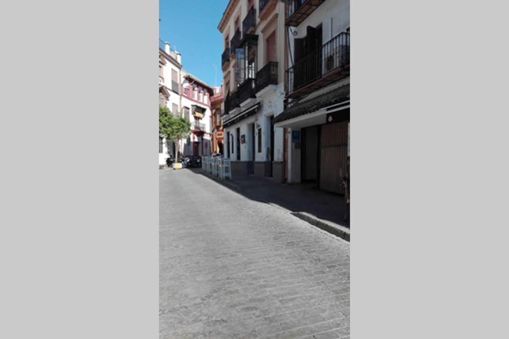 1 Minute From Cathedral. Feel The Heart Of Apartment *